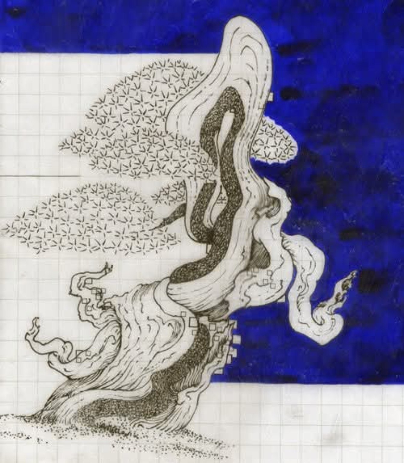 Disegno di bonsai di Andrea Melloni con tronco sinuoso, segni neri e campiture blu